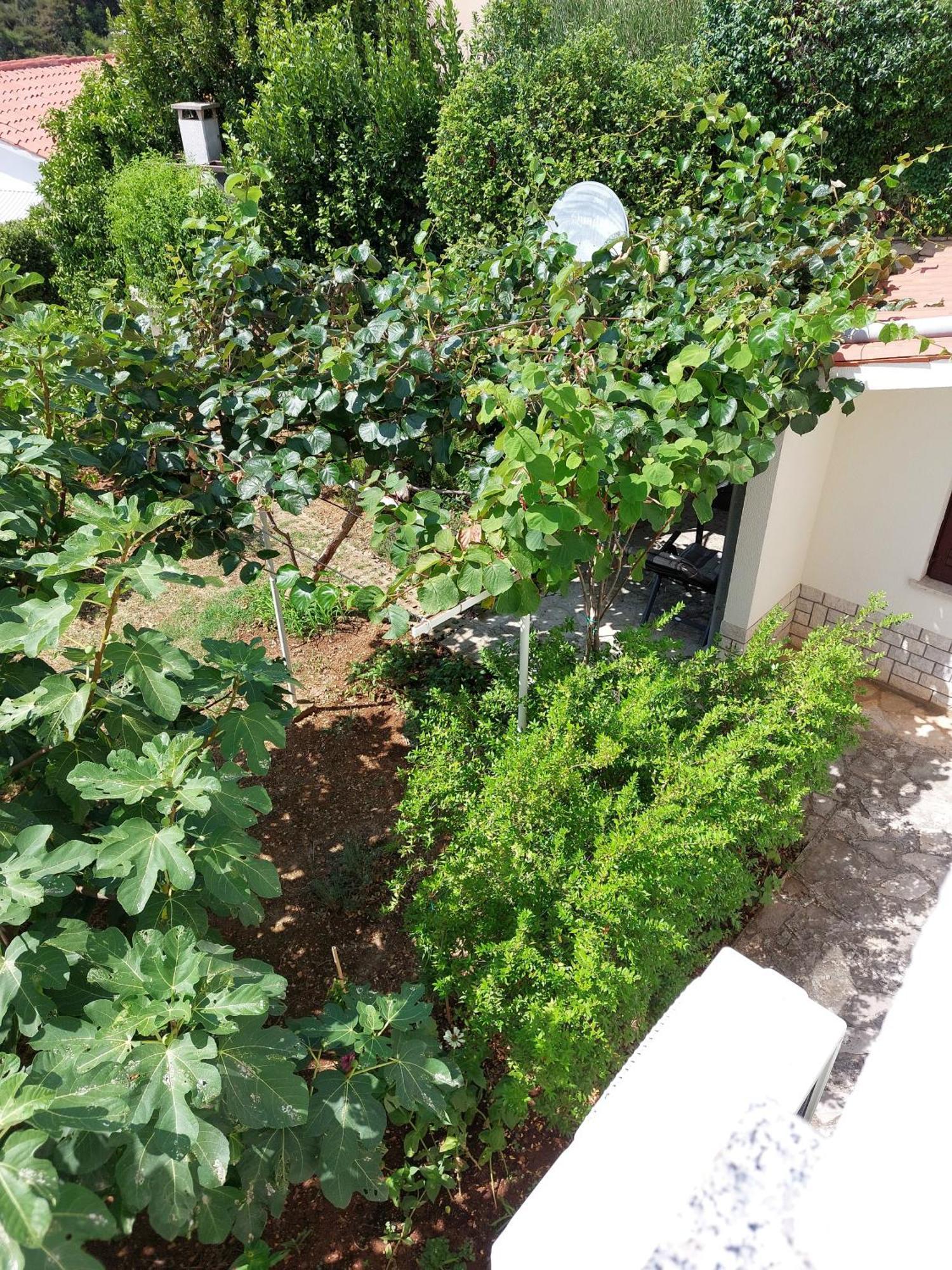 Apartment Kiwi Rabac Exterior photo